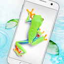 手机屏幕上的青蛙恶作剧 - iFrog APK