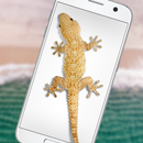 蜥蜴在手機有趣的笑話 - iLizard APK