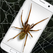 재미있는 폰 스파이더 농담 - iSpider 아이콘