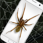 Spider in Phone Funny Joke-icoon