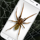 Spider in Phone Funny Joke icon