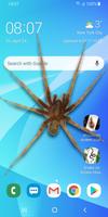 Spider in Phone Funny Joke-poster