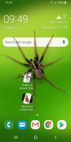 Spider in Phone Funny Joke screenshot 2