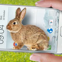 Bunny in Phone Cute joke Icon