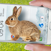 Bunny in Phone Cute joke ikon