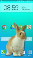 پوستر Bunny in Phone Cute joke