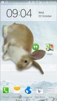برنامه‌نما Bunny in Phone Cute joke عکس از صفحه
