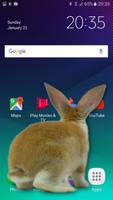 Telefondaki Tavşan Komik Şaka Ekran Görüntüsü 2