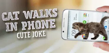 Cat Walks in Phone Cute Joke