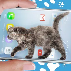 Cat Walks in Phone Cute Joke Icon