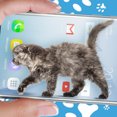 Katze geht im Handy süßer witz Zeichen