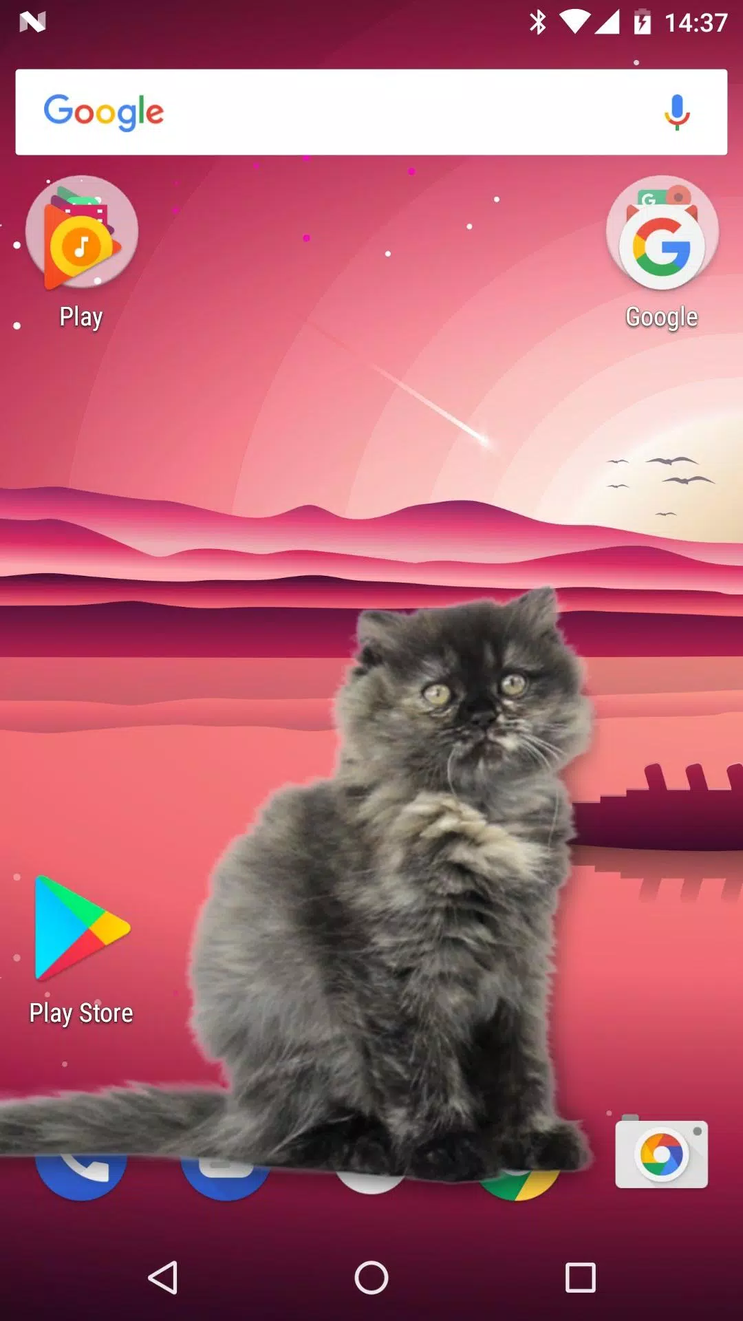 Gatinho Gato Simulator Craft – Apps no Google Play