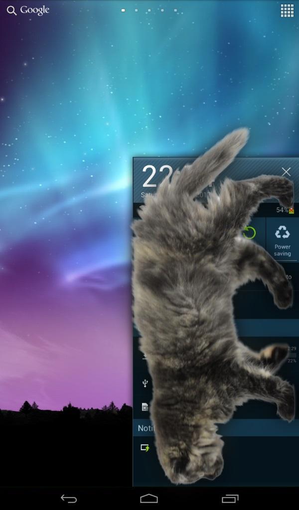 Приложение гулять. Кот гуляющий по экрану. Котик ходит по экрану телефона. Гуляющий кот в телефоне. Гуляющий кот в телефоне шутка.