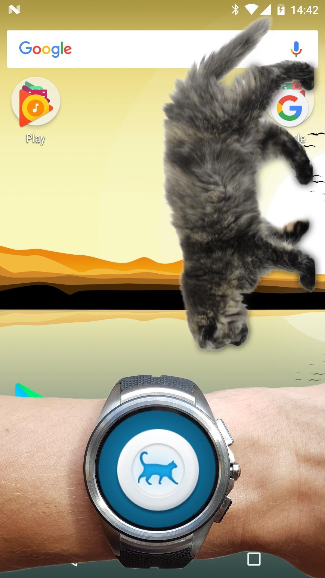 Приложение гулять. Кот гуляющий по экрану. Котик с телефоном. Гуляющий кот в телефоне шутка. Котик гуляет по экрану.