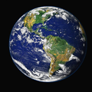 The World APK