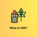 What Is CBD?