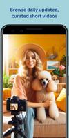 PetReels: Animals Short Videos Plakat