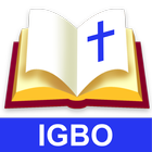 Igbo Bible AMP, NIV, KJV, NJB ícone