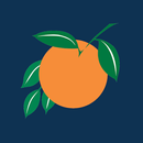OCFL Experience APK