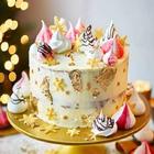 Christmas Cake Recipes आइकन