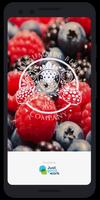The Summer Berry Company poster