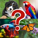 Nature Quiz aplikacja