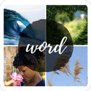 4 pics 1 word APK