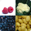 Fructe si Legume
