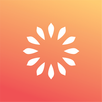 Sunflower by JustLight APK