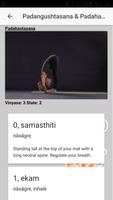Ashtanga Yoga Primary Series capture d'écran 3