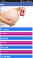 Pregnancy স্ক্রিনশট 3
