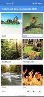 Nature and Relaxing Sounds 202 poster
