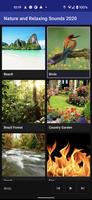 Nature and Relaxing Sounds 202 screenshot 1