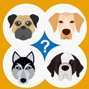 Quiz - Raças de cachorros APK