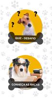 Quiz - Raças de cachorros Plakat