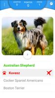 Quiz - Raças de cachorros Screenshot 2