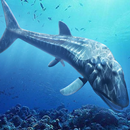 Leedsichthys Simulator APK