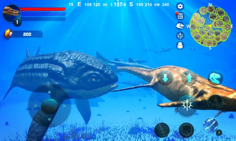 Plesiosaurus Simulator