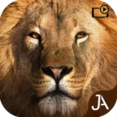 Safari: Online Evolution XAPK download