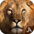 Safari: Online Evolution icône