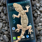 Gecko im Handy Witz Zeichen