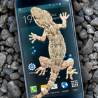 Gecko in Phone scary joke icon