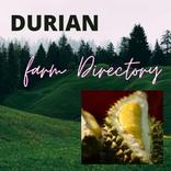 DURIAN FARM DIRECTORY