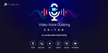 Video Voice Dubbing Editor