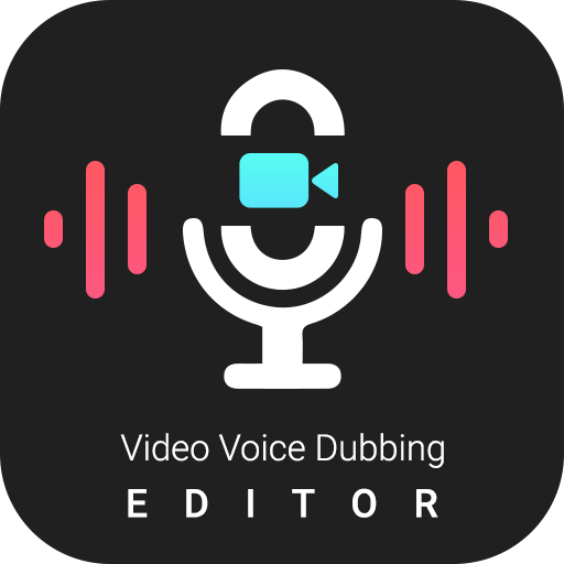 Video Voice Dubbing Editor