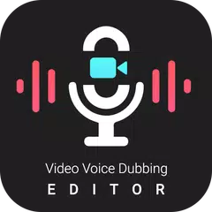 Video Voice Dubbing Editor