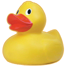 Duck Duck Car APK