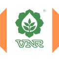 VNR Seeds Hamali