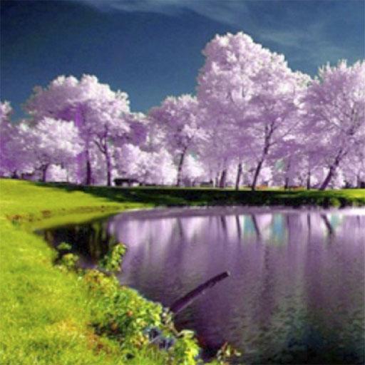 Обои HD Природа