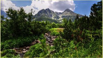 Fonds d'écran HD Nature capture d'écran 2